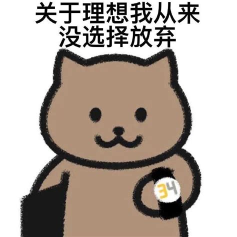 一猫人|一猫人